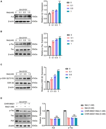 Frontiers | Systems genetics identifies methionine as a high