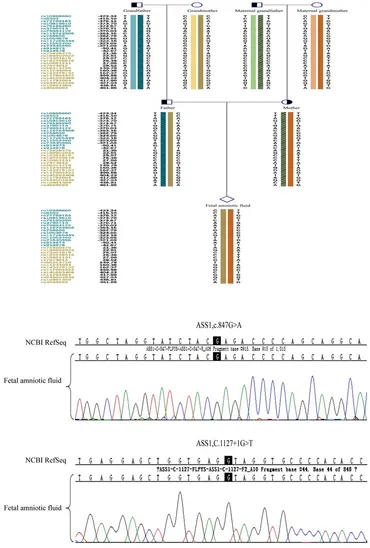 fgene-15-1389461-g010.jpg