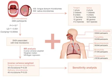 Frontiers | Association between oral microbiome and five