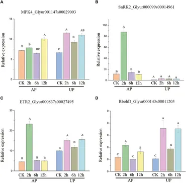 Frontiers | Alternative splicing responses to salt stress in