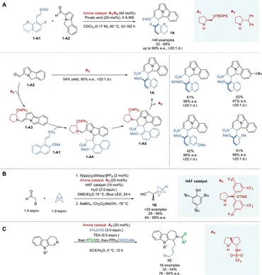 Asymmetric Migratory Tsuji–Wacker Oxidation Enables the
