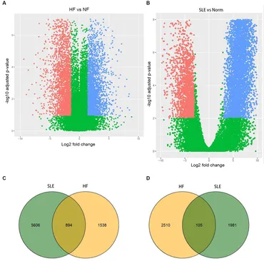 その他 rufus lupus Amazon.com: Fuck Lupus Purple Ribbon 12x8in Sign Metal Wall Art