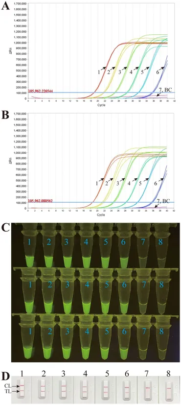 Frontiers | Real-time fluorescent multiple cross
