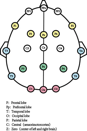 Frontiers | Neural oscillation in bipolar disorder: a
