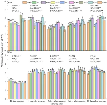 Frontiers | Interaction of phosphorus and GA3 improved