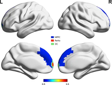 Advances in Cognitive Neurodynamics: Proceedings of the International Conference on Cognitive Neurodynamics - 2007 Wang， Rubin? Gu， Fanji; Shen， Enhua Advances in Cognitive Neurodynamics: Proceedings of the