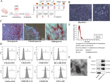 その他 PURIFICATION Feasibility of Microbially Induced Carbonate Precipitation