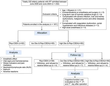 Frontiers | Effects of dexmedetomidine-ropivacaine assisted