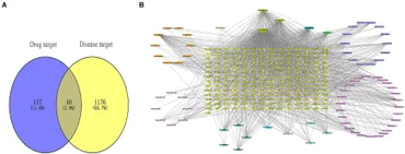 Frontiers | Network pharmacology and molecular docking approach to
