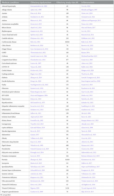 【返品送料無料】 fnmol-17-1455418-t002.jpg 茶