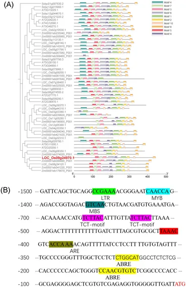 Frontiers | Overexpression of OsDUF868.12 enhances salt