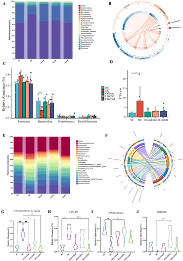 Frontiers | Lingguizhugan decoction alleviates obesity in