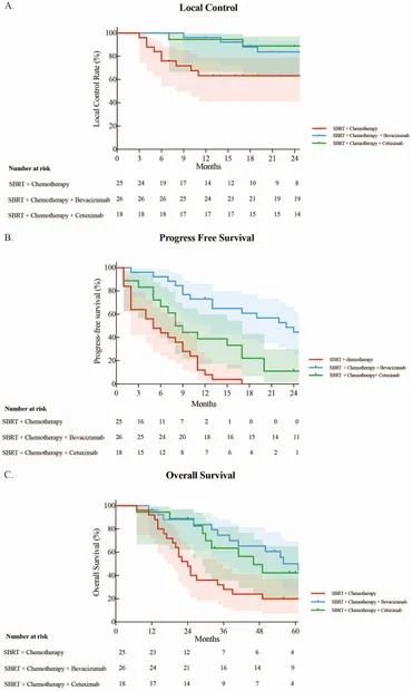 Frontiers | Targeted therapy acts to sensitize stereotactic