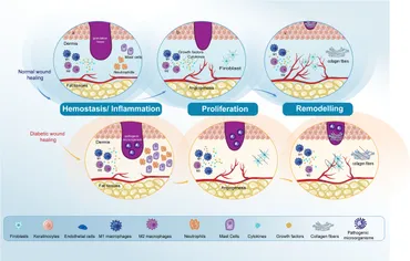 Potential of guggulsterone, a farnesoid X receptor