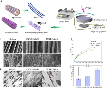 HU様オーダー Frontiers | Advances of naturally derived biomedical