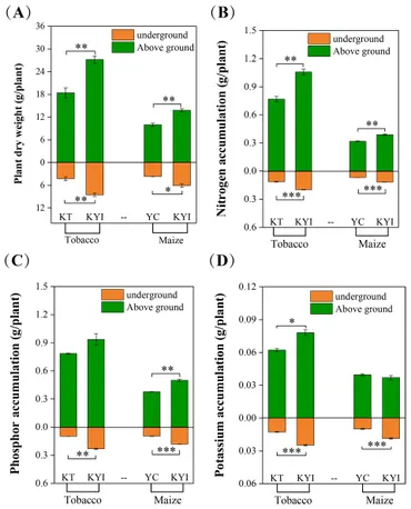 Frontiers | Intercropping of tobacco and maize at seedling