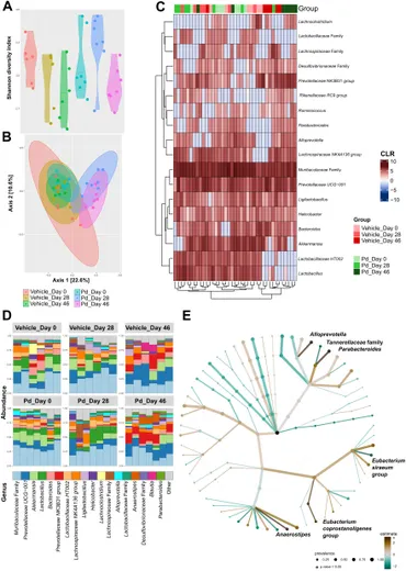 Frontiers | Lysate of Parabacteroides distasonis prevents