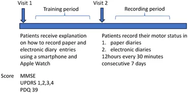 Frontiers | Evaluation of motor fluctuations in Parkinson's