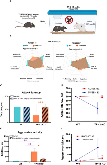 健康・医学 OPATHY FOR ANGER AND MORTIFICATION Frontiers | Ophthalmic findings of congenital insensitivity