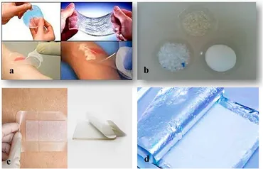 RETEN Latest advance anti-inflammatory hydrogel wound ... - Frontiers fbioe-12-1488748-g001.jpg RETEN Latest advance anti-inflammatory hydrogel wound ... - Frontiers fbioe-12-1488748-g001.jpg