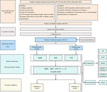 Frontiers | Monitoring of the trough concentration of