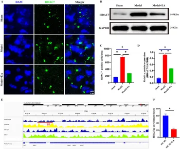 Frontiers | Bioinformatics analysis of electroacupuncture