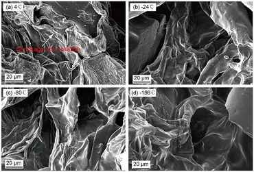 Frontiers | Mitigating browning and improving texture issues