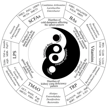 Frontiers | Investigating the biological significance of the Frontiers | Investigating the biological significance of the