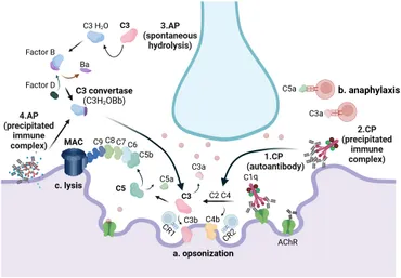 専用3 A novel Cu(II)-assisted peptide fluorescent probe for highly