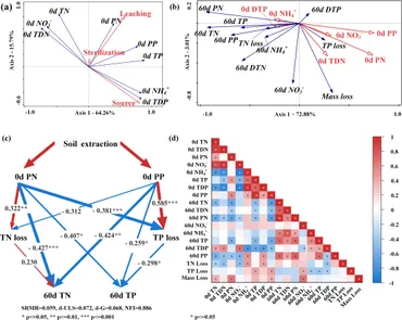 Epigenetic Regulation of MicroRNA Clusters and Families