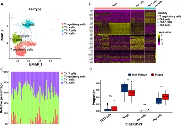Frontiers | Integrative single-cell and bulk RNA-seq Frontiers | Integrative single-cell and bulk RNA-seq