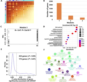 Frontiers | Integrative single-cell and bulk RNA-seq Frontiers | Integrative single-cell and bulk RNA-seq
