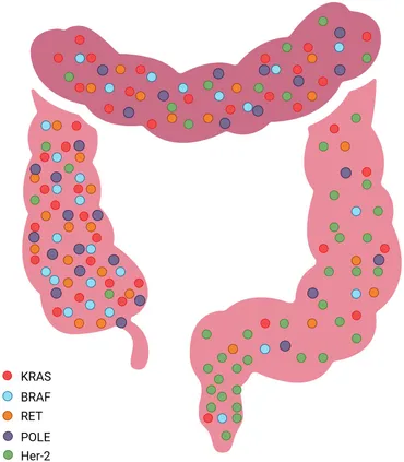 Frontiers | Prognostic and predictive molecular biomarkers