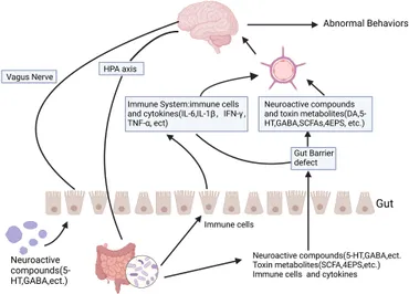 Frontiers | Intervention and research progress of gut
