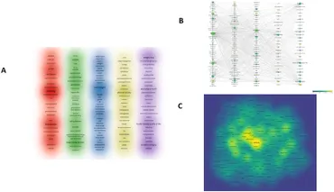 Frontiers | Obesity and psychology: a bibliometric analysis