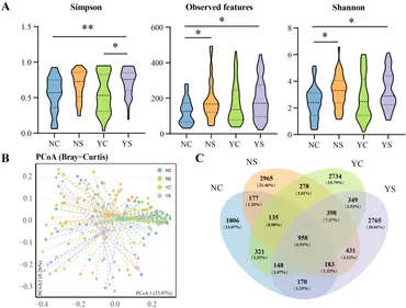 Frontiers | Amplicon-based analysis reveals link between Frontiers | Amplicon-based analysis reveals link between