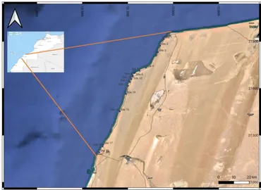 Frontiers | Holistic investigation of macroalgal species