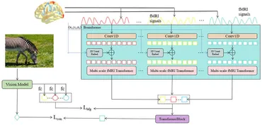 Frontiers | NeuroFusionNet: cross-modal modeling from brain