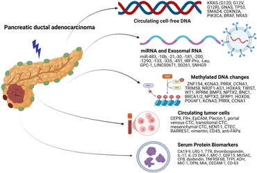 Frontiers | Blood-based biomarkers in pancreatic ductal