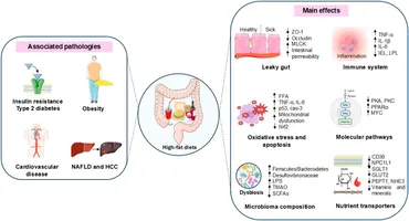 Frontiers | Pharmacological potential of endocannabinoid and