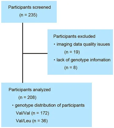 Frontiers | The RELN heterozygous single-nucleotide
