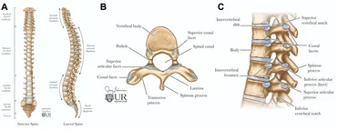 Inkwell ayol porno Yaxshi lezbiyen jinsiy aloqa