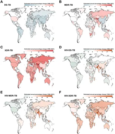 Frontiers | Global burden and trend of tuberculosis in