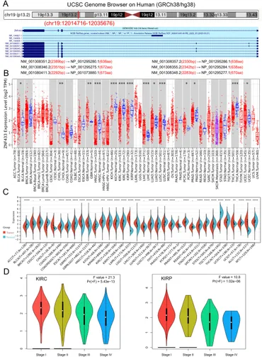 Frontiers | Multidimensional analysis suggests that ZNF433