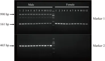 当店の記念日 Frontiers | Identification and characterization of a male クレンジング/メイク落とし