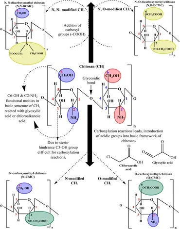 オーダー専用ページ Alisol A ameliorates vascular cognitive impairment via AMPK