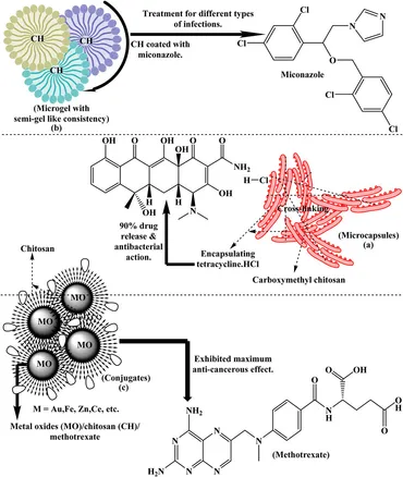 Frontiers | Chitosan and its derivatives-based