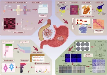 ムー ZX-4R - マフラー - バイク王ダイレクト