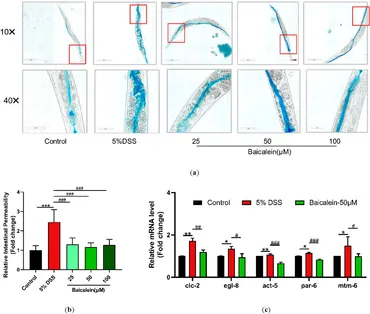 Frontiers | Baicalein from Scutellaria baicalensis mitigates