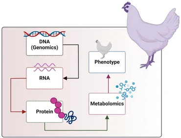 Frontiers | Integrating metabolomics for precision nutrition